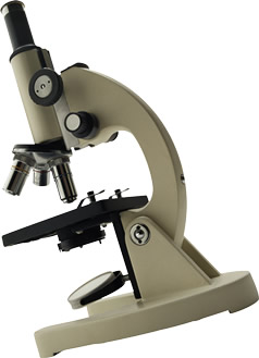 microscopio